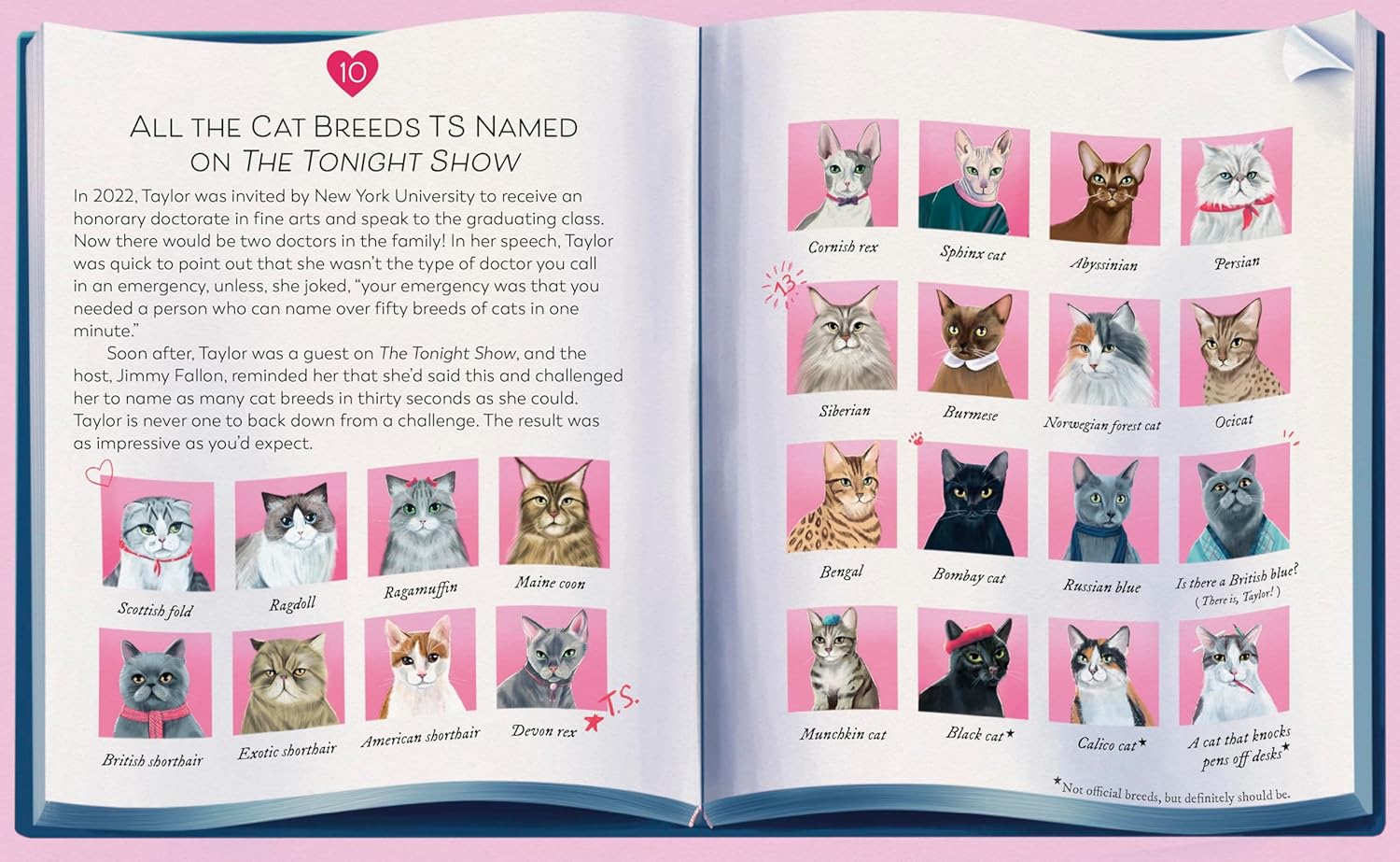 Karma Is a Cat: The True Stories of Meredith Grey, Olivia Benson, and Benjamin Button Swift Karma Is a Cat: The True Stories of Meredith Grey, Olivia Benson, and Benjamin Button Swift – תמונה 2