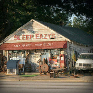 The Sleep Eazys - Easy To Buy - Hard To Sell [180g]