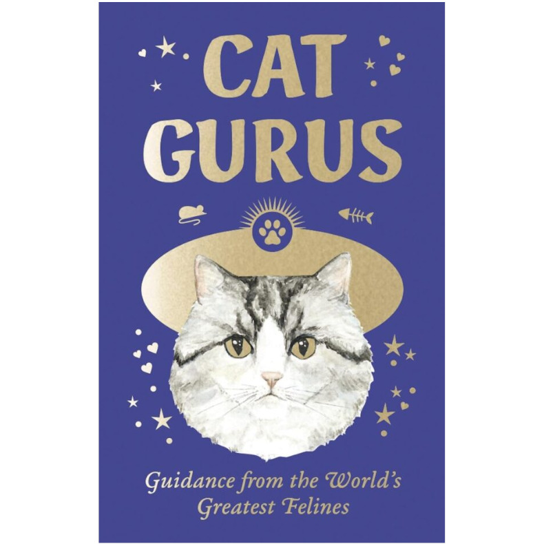 Cat Gurus Cat Gurus