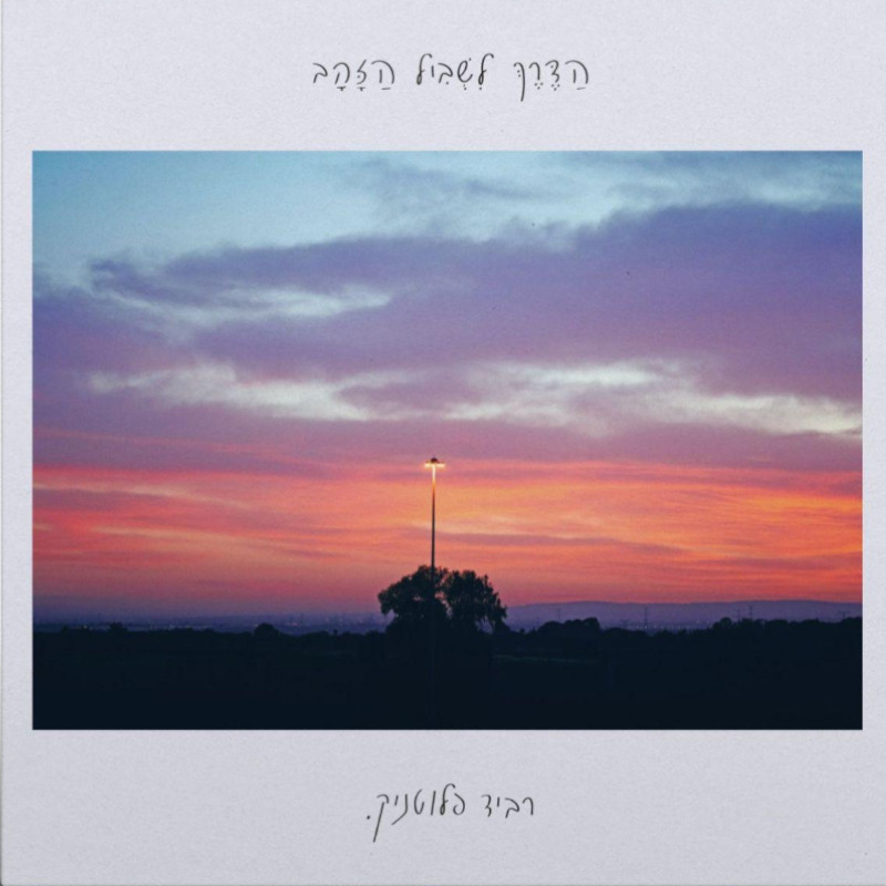 רביד פלוטניק - הדרך לשביל הזהב רביד פלוטניק - הדרך לשביל הזהב – תמונה 2