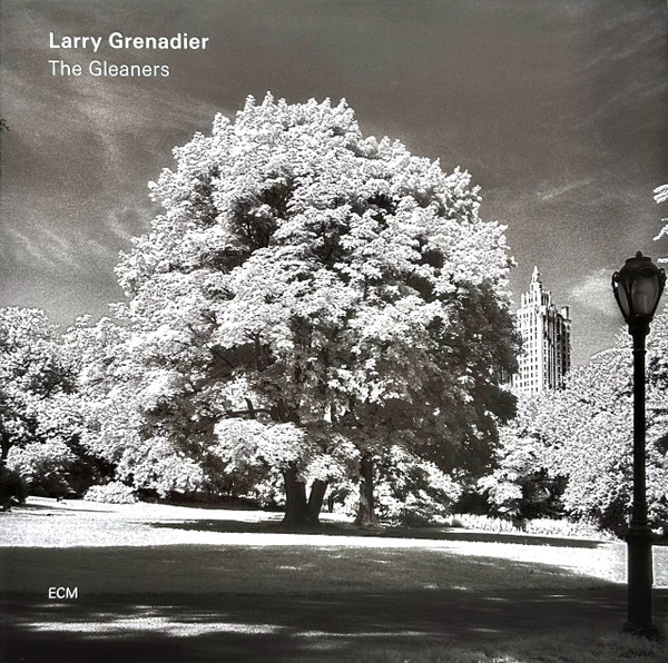 Larry Grenadier - The Gleaners Larry Grenadier - The Gleaners
