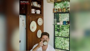 המגזין נייל הורן - Dinner Party עטיפת האלבום החדש